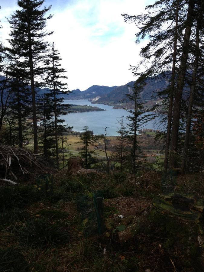 Panorama Appartement Strobl Eksteriør billede